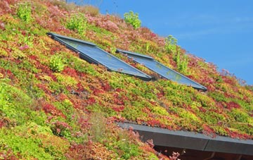 Chittoe living roof systems